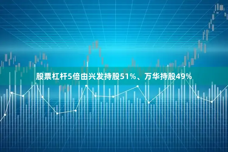 股票杠杆5倍由兴发持股51%、万华持股49%