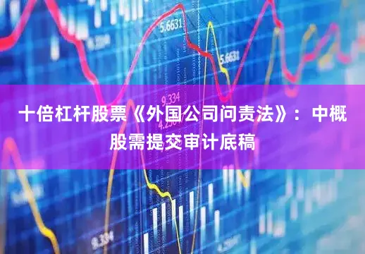 十倍杠杆股票《外国公司问责法》：中概股需提交审计底稿