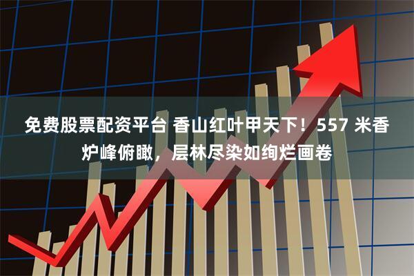 免费股票配资平台 香山红叶甲天下！557 米香炉峰俯瞰，层林尽染如绚烂画卷