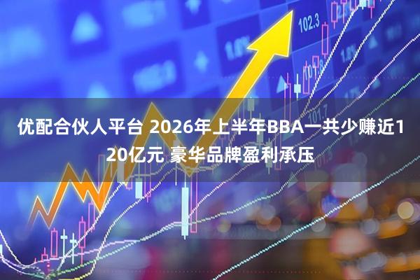 优配合伙人平台 2026年上半年BBA一共少赚近120亿元 豪华品牌盈利承压